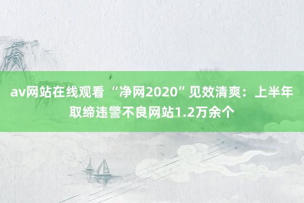 av网站在线观看 “净网2020”见效清爽：上半年取缔违警不良网站1.2万余个