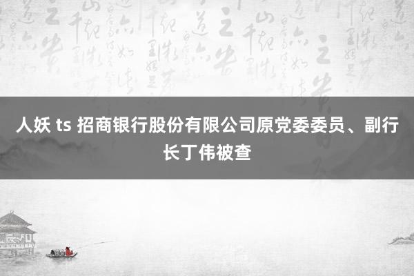 人妖 ts 招商银行股份有限公司原党委委员、副行长丁伟被查