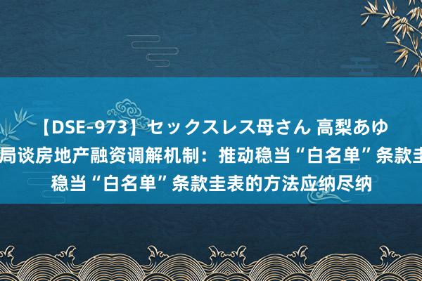 【DSE-973】セックスレス母さん 高梨あゆみ 国度金融监管总局谈房地产融资调解机制：推动稳当“白名单”条款圭表的方法应纳尽纳