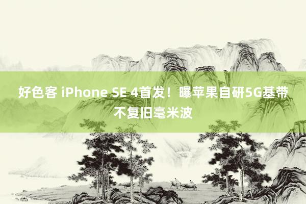 好色客 iPhone SE 4首发！曝苹果自研5G基带不复旧毫米波