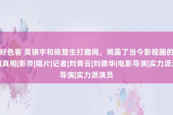 好色客 吴镇宇和陈楚生打趣间，揭露了当今影视圈的霸道真相|影帝|唱片|记者|刘青云|刘德华|电影导演|实力派演员