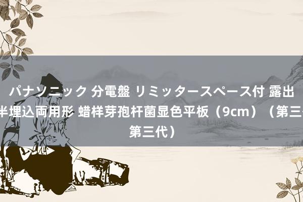 パナソニック 分電盤 リミッタースペース付 露出・半埋込両用形 蜡样芽孢杆菌显色平板（9cm）（第三代）