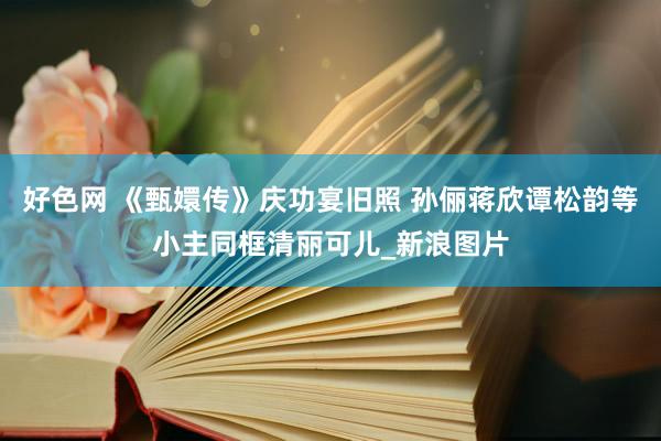 好色网 《甄嬛传》庆功宴旧照 孙俪蒋欣谭松韵等小主同框清丽可儿_新浪图片