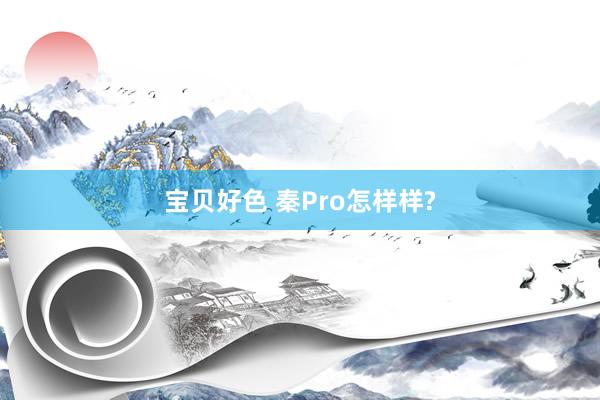 宝贝好色 秦Pro怎样样?