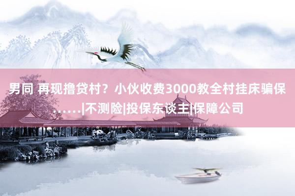 男同 再现撸贷村？小伙收费3000教全村挂床骗保……|不测险|投保东谈主|保障公司