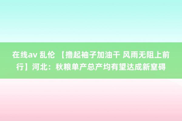 在线av 乱伦 【撸起袖子加油干 风雨无阻上前行】河北：秋粮单产总产均有望达成新窒碍