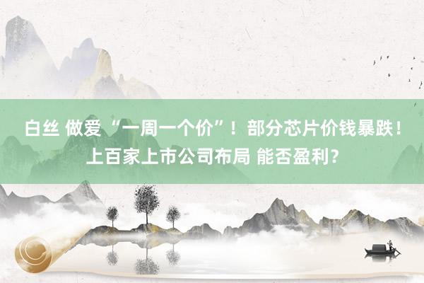 白丝 做爱 “一周一个价”！部分芯片价钱暴跌！上百家上市公司布局 能否盈利？