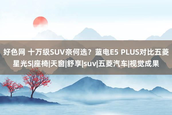 好色网 十万级SUV奈何选？蓝电E5 PLUS对比五菱星光S|座椅|天窗|舒享|suv|五菱汽车|视觉成果