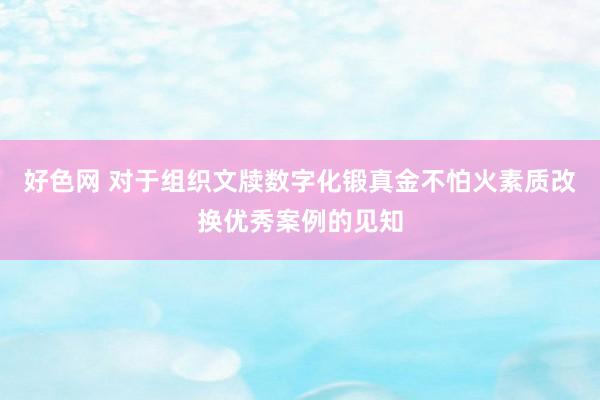 好色网 对于组织文牍数字化锻真金不怕火素质改换优秀案例的见知