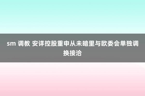 sm 调教 安详控股重申从未暗里与欧委会单独调换接洽