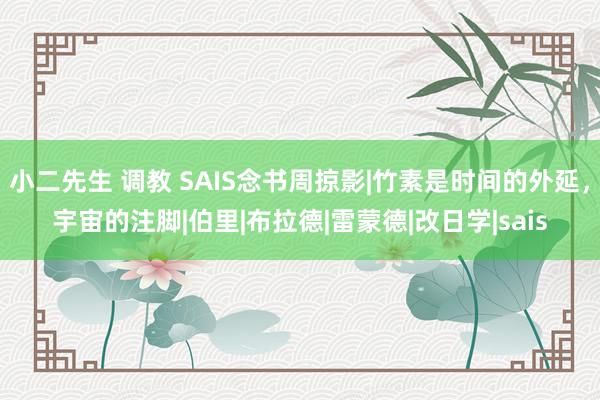 小二先生 调教 SAIS念书周掠影|竹素是时间的外延，宇宙的注脚|伯里|布拉德|雷蒙德|改日学|sais