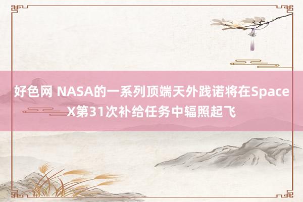 好色网 NASA的一系列顶端天外践诺将在SpaceX第31次补给任务中辐照起飞