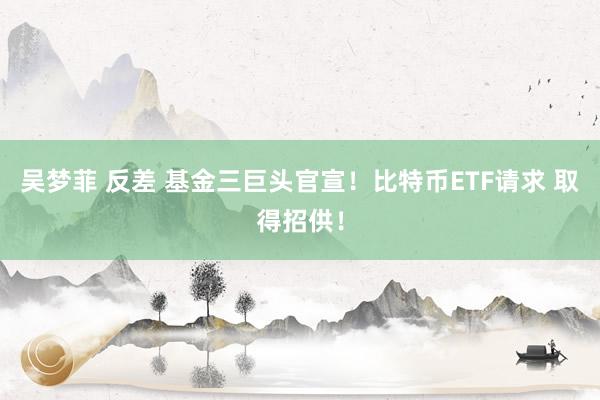 吴梦菲 反差 基金三巨头官宣！比特币ETF请求 取得招供！