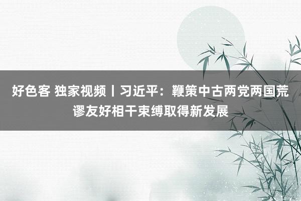 好色客 独家视频丨习近平：鞭策中古两党两国荒谬友好相干束缚取得新发展