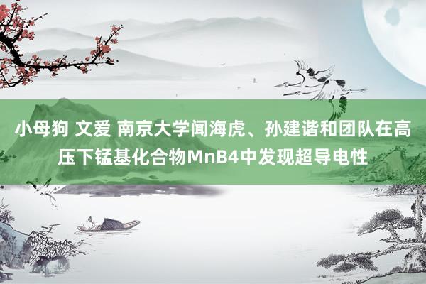 小母狗 文爱 南京大学闻海虎、孙建谐和团队在高压下锰基化合物MnB4中发现超导电性